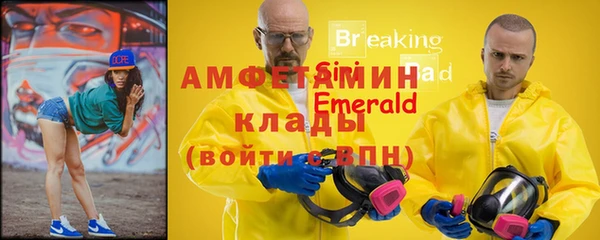 тгк Пересвет