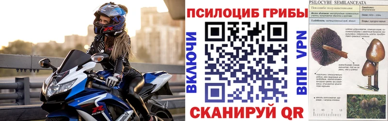 Псилоцибиновые грибы Magic Shrooms  Вичуга 